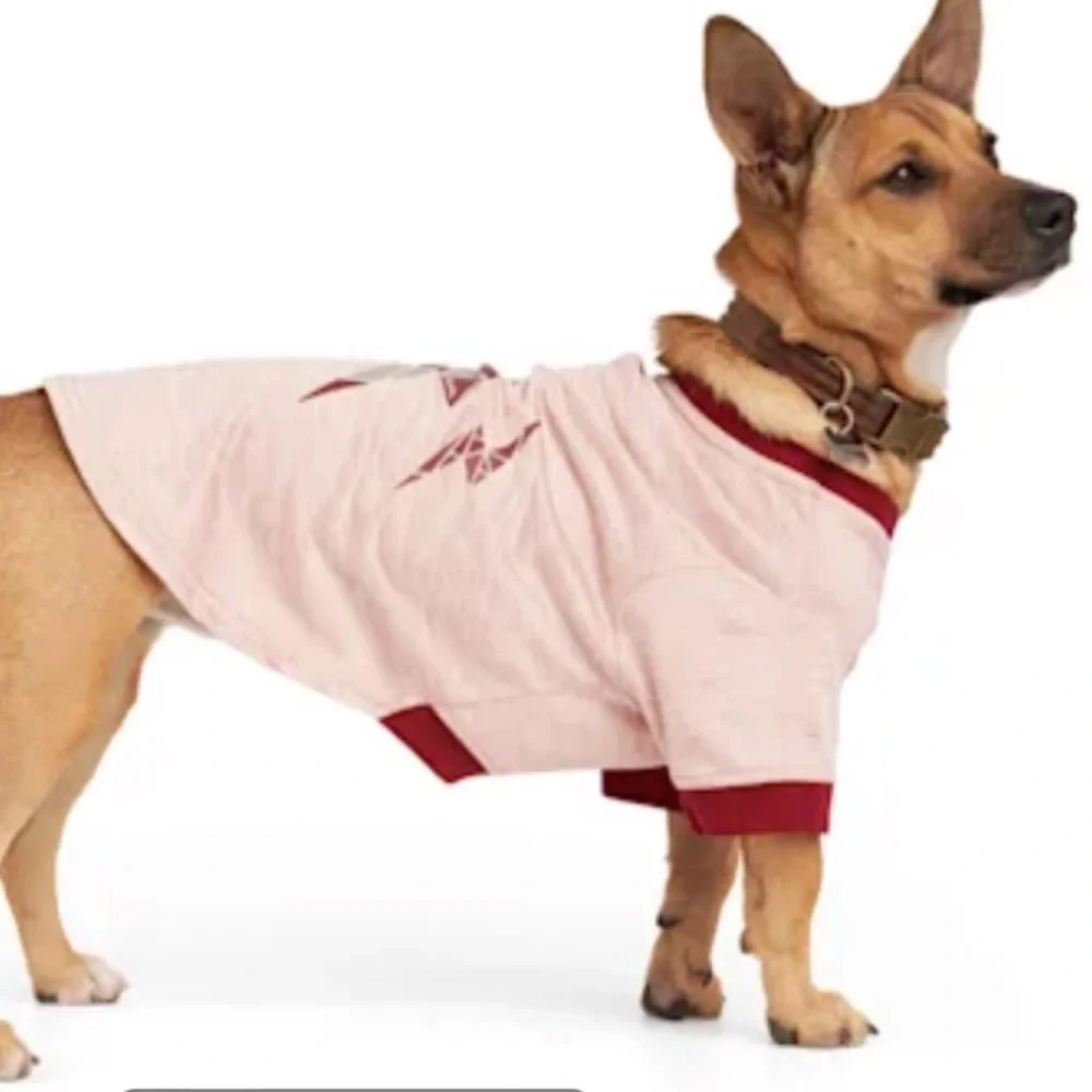 Bundle new Reddy Hoodie & Lightening dog Tee S
